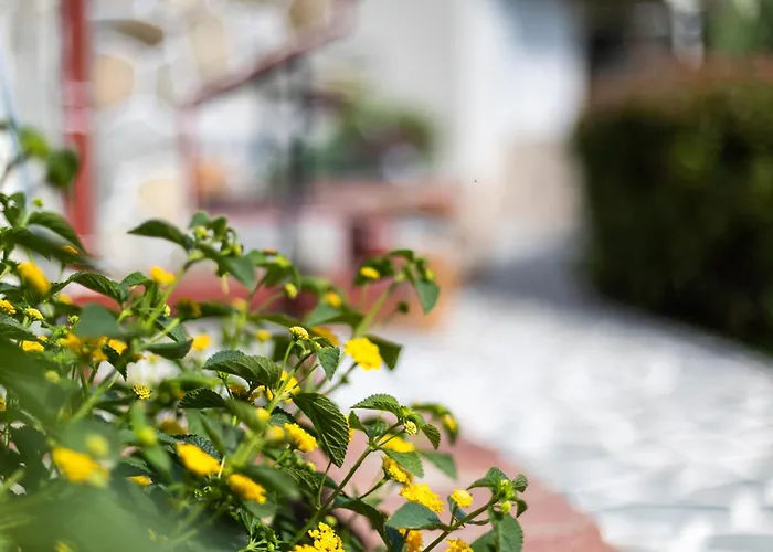 Apartament Helianthos - No2 *